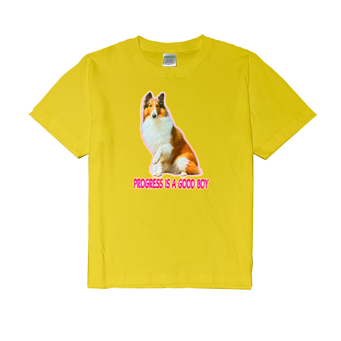 PROGRESS® IS A GOOD BOY 2.0